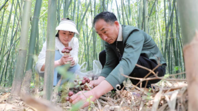 产业融合绘新景 种养结合促振兴