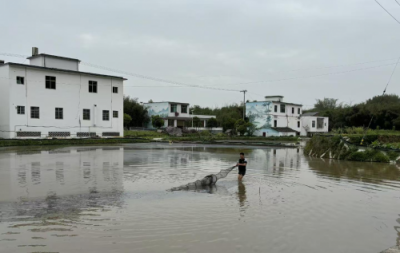 产业融合绘新景 种养结合促振兴