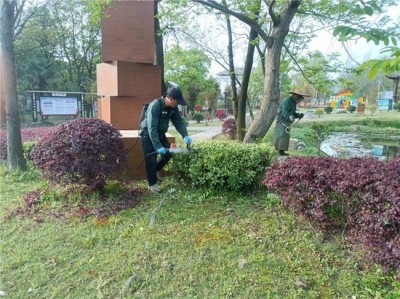 春季除杂正当时 换来生态好环境