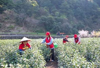 绿色志愿行 融启新风尚