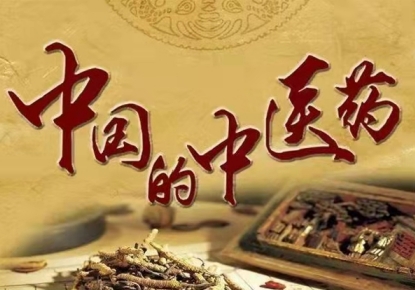 中华名医——赵秀花