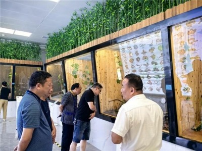 苗医非遗传承导师—符忠来