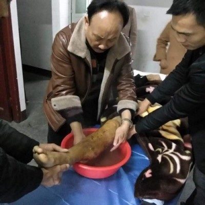 苗医非遗传承导师—符忠来