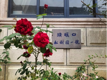 命急丸世界唯一