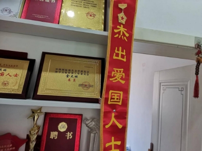 八一彰显民族 精神，展现中华民族风范 ——国学研究者金大琳