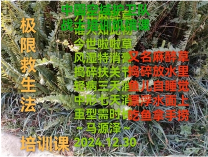 世界中医药联合会 传统医学博士——马忠义院长 八一彰显民族精神，展现中华民族风范