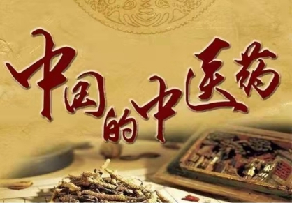 心系祖国  服务为民 中国当代 名医——赵秀花