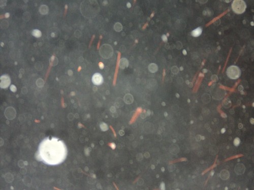 堕胎婴灵为什么一定要超度走？--净空法师|明旺法师告诉你堕胎婴儿一定要超度走|西安超度阴灵的地方