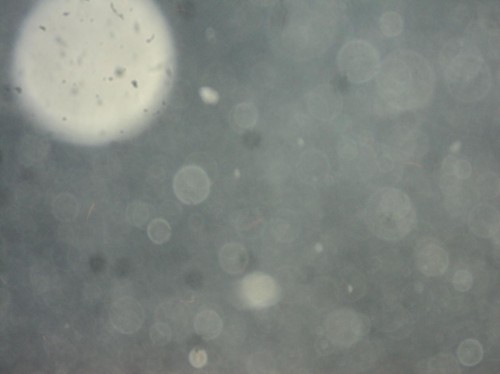 堕胎婴灵为什么一定要超度走？--净空法师|明旺法师告诉你堕胎婴儿一定要超度走|西安超度阴灵的地方