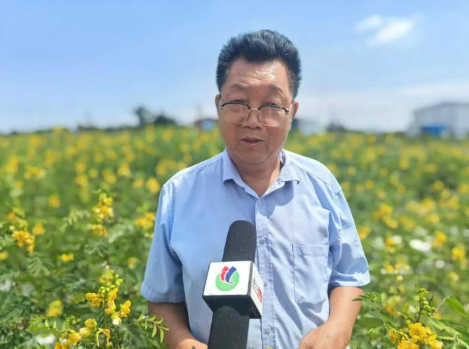 青平镇 圆墩村：乡贤返乡投资置业 赋能乡村产业升级