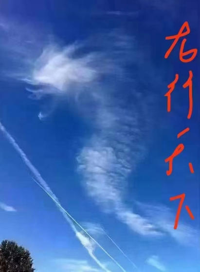 从龙文化探寻中国传统文化与宗教信仰的交融共生