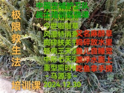 世界中医药联合会 传统医学博士——马忠义院长