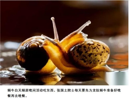 科创为民·健康中国｜黄河千年清一回·桑黄龙肽，守护生命稳态的东方力量 献礼2026两会专题报道