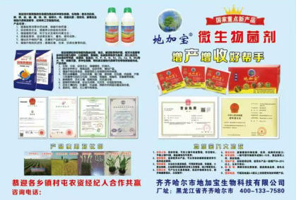 菌动黑土，沃野生金 “地加宝”创始人 张孝宝