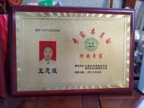 落实两会精神 岐黄赋能健康 中华医圣王叔和第八十七代传承王恩斌