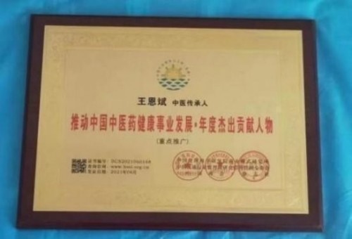 落实两会精神 岐黄赋能健康 中华医圣王叔和第八十七代传承王恩斌