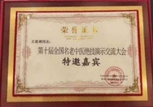 落实两会精神 岐黄赋能健康 中华医圣王叔和第八十七代传承王恩斌