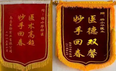 国医名师——杨小华