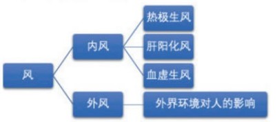 聚力健康中国 李东来：十全延生汤 诠释中医药惠民力量