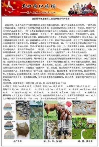 匠心科创践初心 实干奋进新征程 —— 记广西金臣科技董事长金凤章