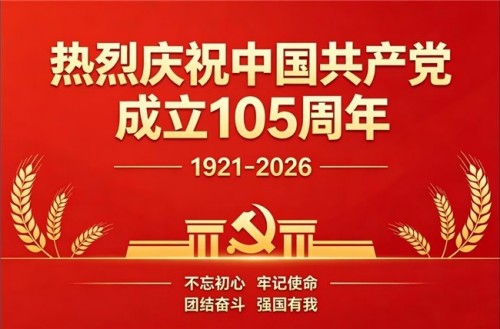 建党百五风华茂 匠心筑疆践初心——达围然阿布都热依木·依力
