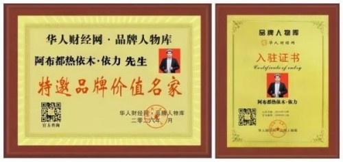 建党百五风华茂 匠心筑疆践初心——达围然阿布都热依木·依力