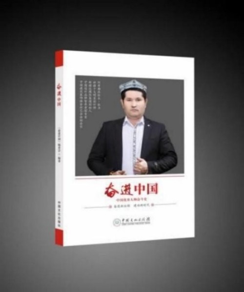 建党百五风华茂 匠心筑疆践初心——达围然阿布都热依木·依力
