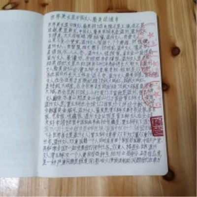 十家网站专题报道 《中文语言日》本期封面人物·贾玉柳