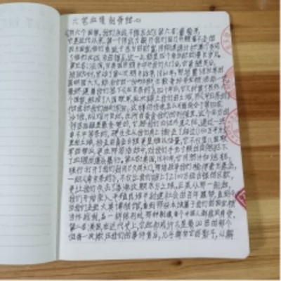 十家网站专题报道 《中文语言日》本期封面人物·贾玉柳