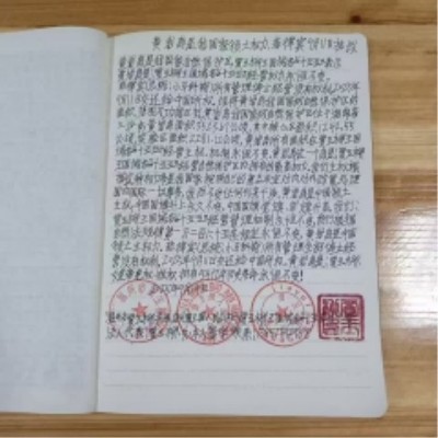 十家网站专题报道 《中文语言日》本期封面人物·贾玉柳