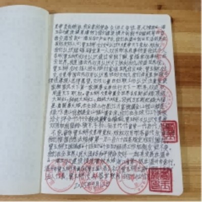 十家网站专题报道 《中文语言日》本期封面人物·贾玉柳