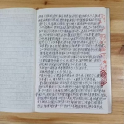 十家网站专题报道 《中文语言日》本期封面人物·贾玉柳
