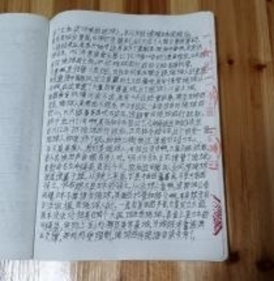 十家网站专题报道 《中文语言日》本期封面人物·贾玉柳