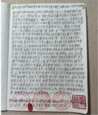 十家网站专题报道 《中文语言日》本期封面人物·贾玉柳