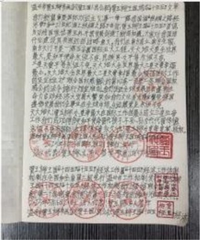 十家网站专题报道 《中文语言日》本期封面人物·贾玉柳