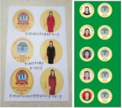 十家网站专题报道 《中文语言日》本期封面人物·贾玉柳
