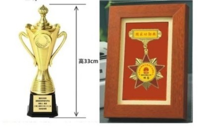 道医脉络学现代疗法创始人——国医名师杨忠